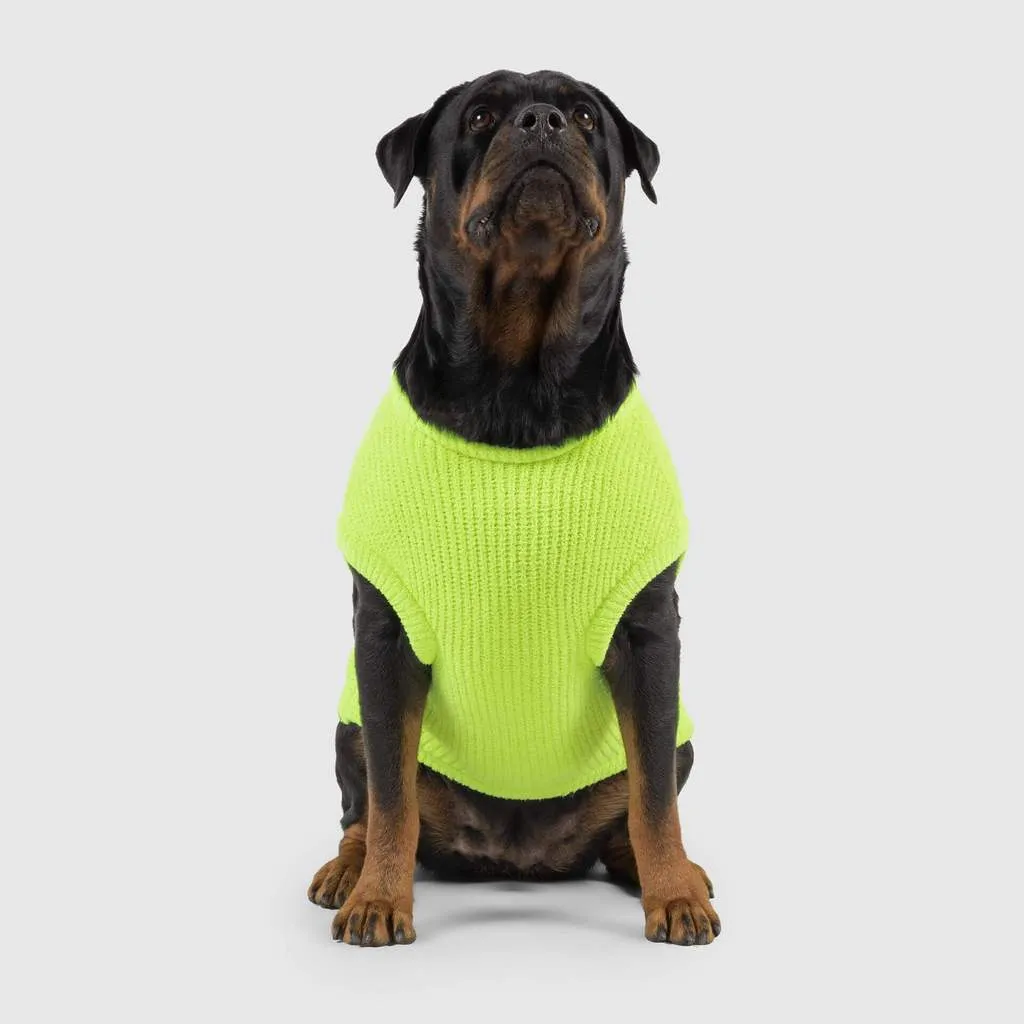 Highlighter Sweater in Green (FINAL SALE)