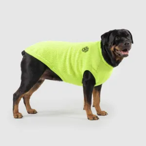 Highlighter Sweater in Green (FINAL SALE)